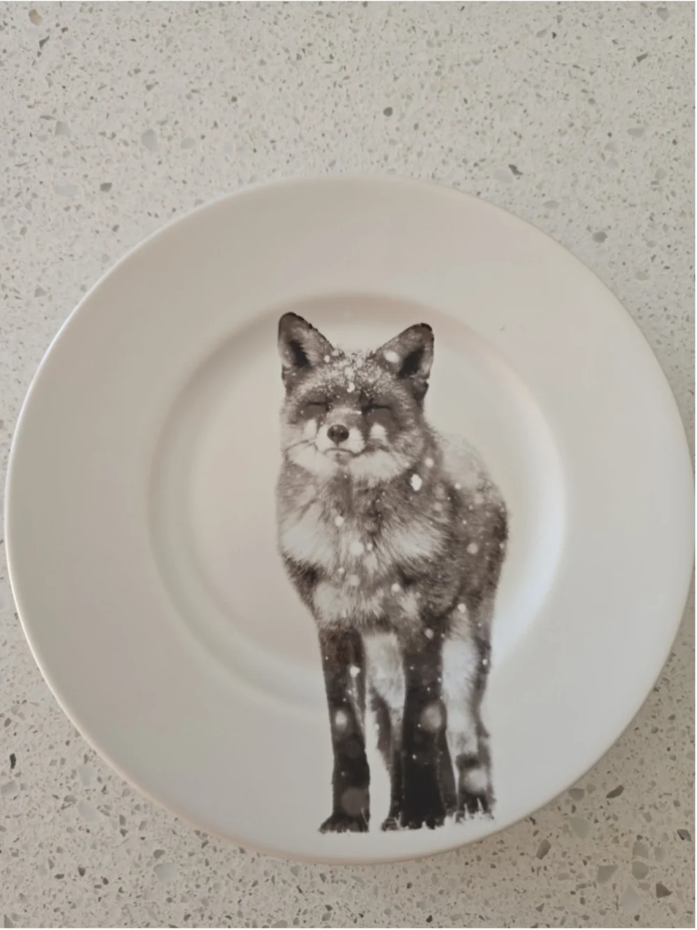 Pier 1 Imports Snow Forest Fox Accent Salad Plates Stunning Snow Flakes 3 pcs